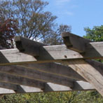 Green oak pergola 