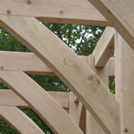 Green oak pergola