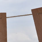 Cedar Shingle Bunting