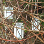 Willow Ball