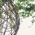 Willow Ball