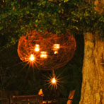 Willow Ball