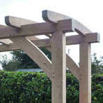 Green oak pergola